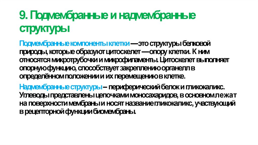 9. Подмембранные и надмембранные структуры