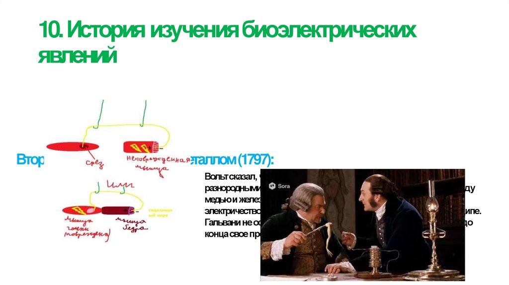 10. История изучения биоэлектрических явлений