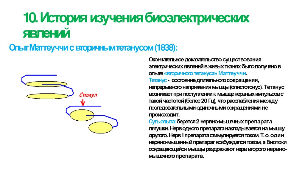 10. История изучения биоэлектрических явлений