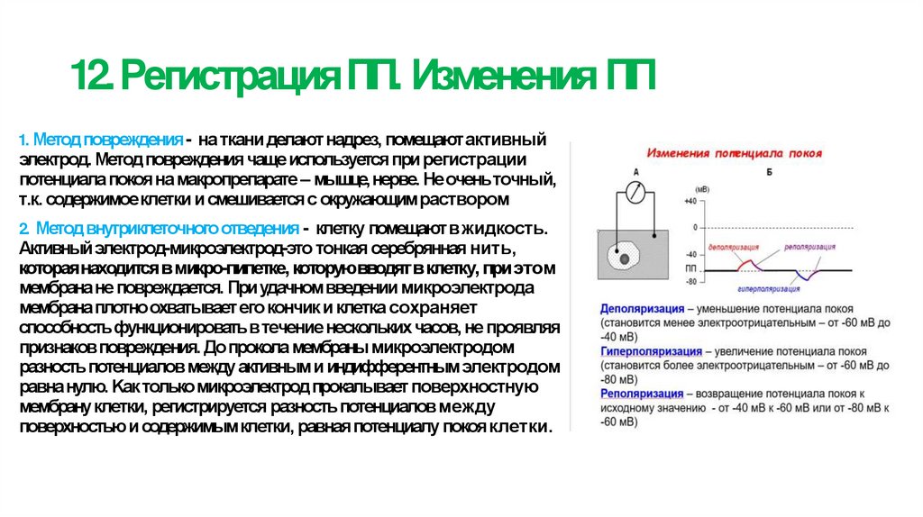 12. Регистрация ПП. Изменения ПП