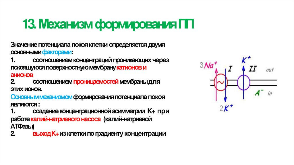 13. Механизм формирования ПП