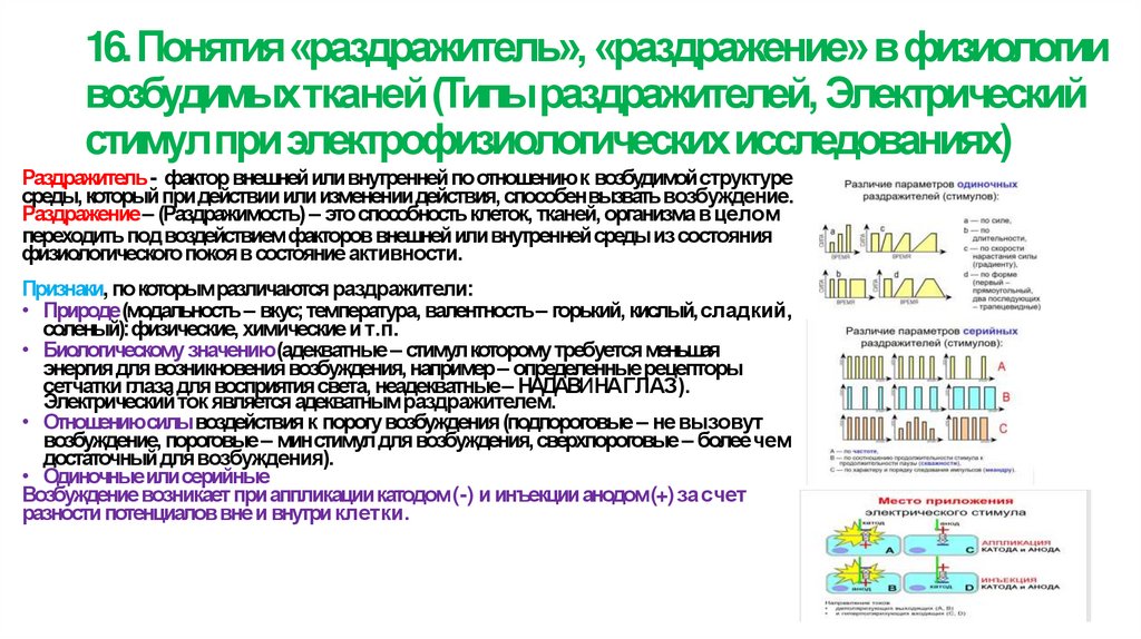 16. Понятия «раздражитель», «раздражение» в физиологии возбудимых тканей (Типы раздражителей, Электрический стимул при