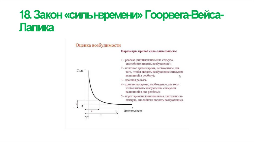 18. Закон «силы-времени» Гоорвега-Вейса- Лапика