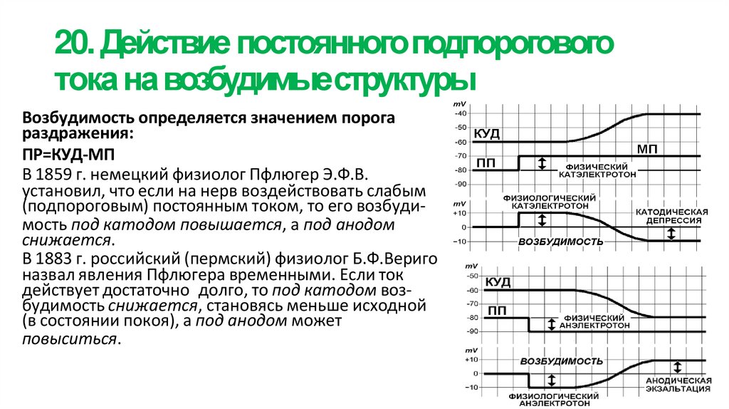 20. Действие постоянного подпорогового тока на возбудимые структуры