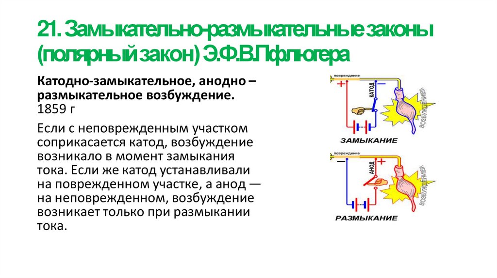 21. Замыкательно-размыкательные законы (полярный закон) Э.Ф.В.Пфлюгера