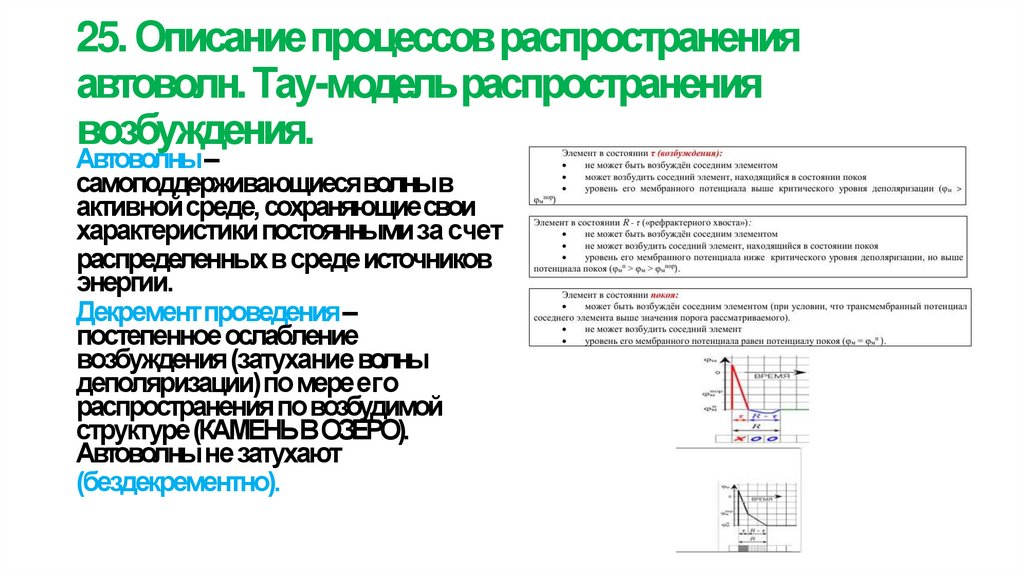 25. Описание процессов распространения автоволн. Тау-модель распространения возбуждения.