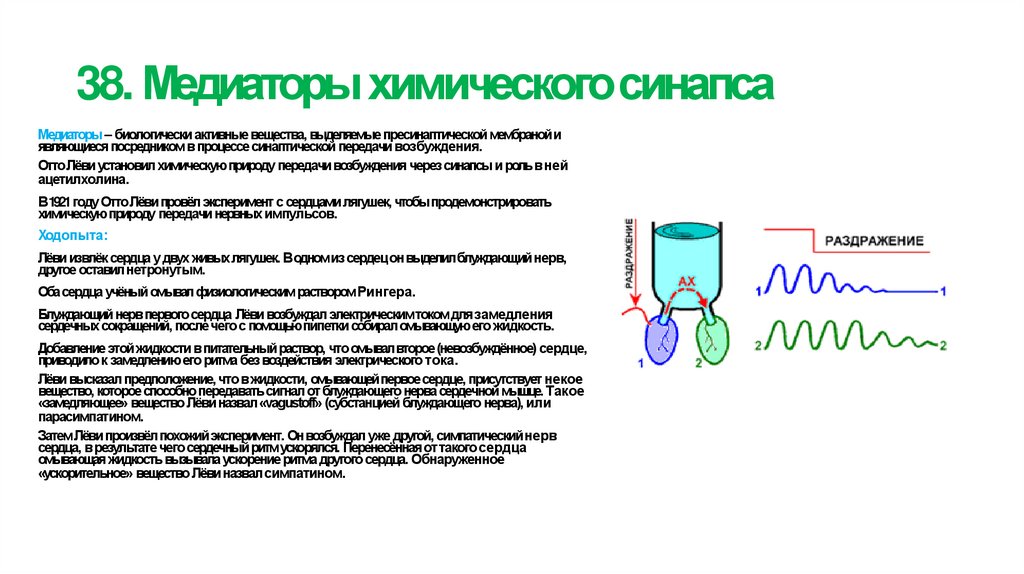 38. Медиаторы химического синапса