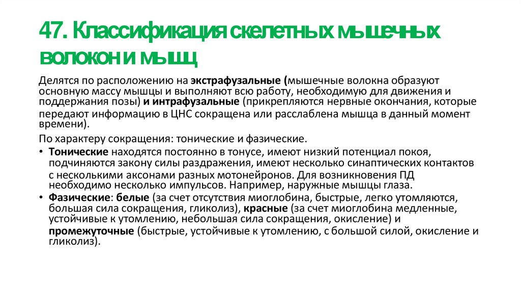 47. Классификация скелетных мышечных волокон и мышц