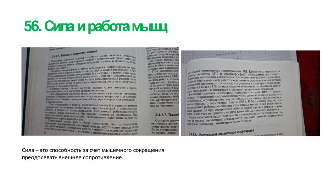 56. Сила и работа мышц