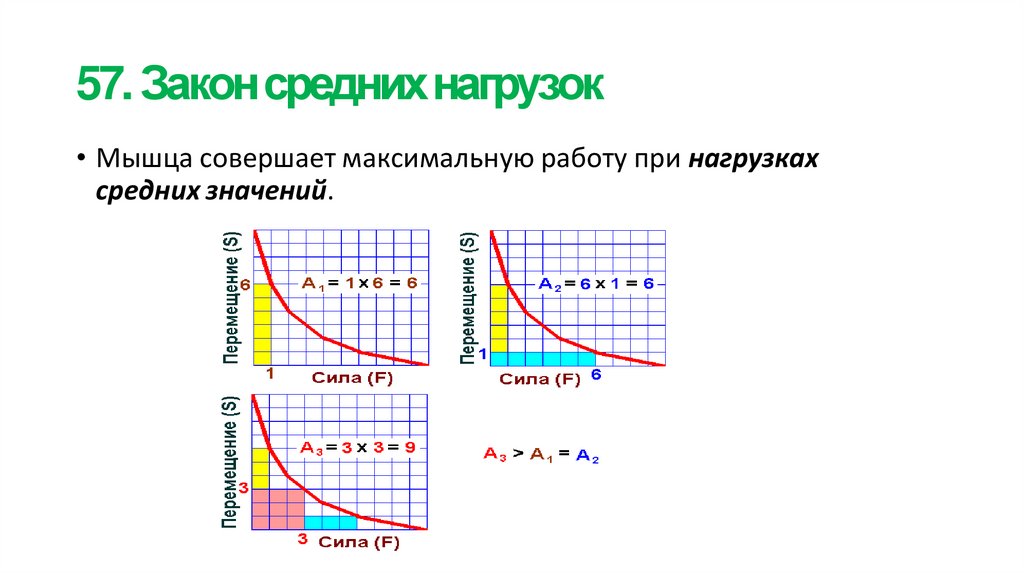 57. Закон средних нагрузок