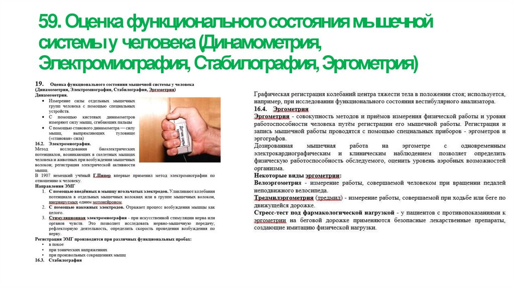 59. Оценка функционального состояния мышечной системы у человека (Динамометрия, Электромиография, Стабилография, Эргометрия)