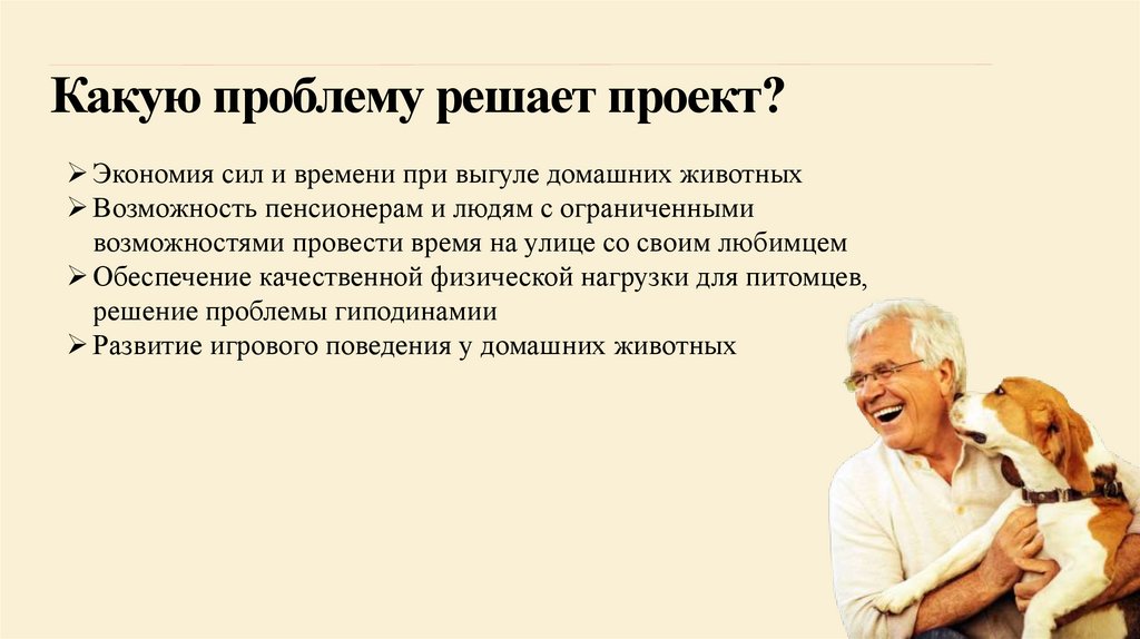 Какую проблему решает проект?