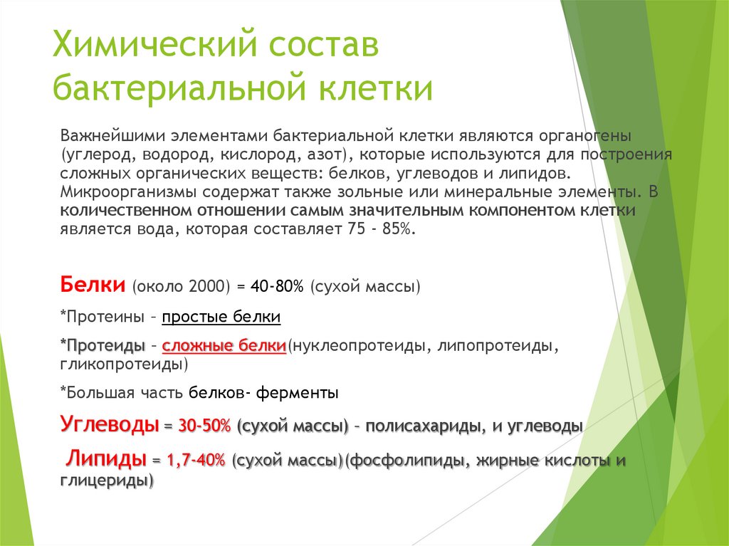 Химический состав бактериальной клетки