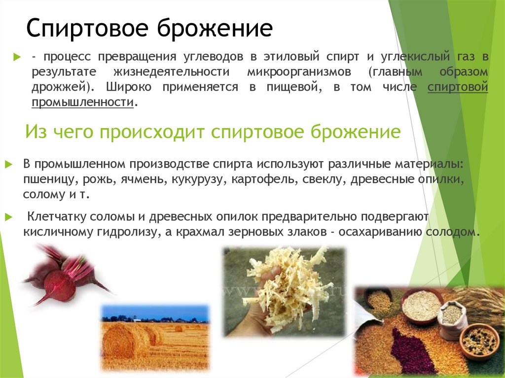 Спиртовое брожение