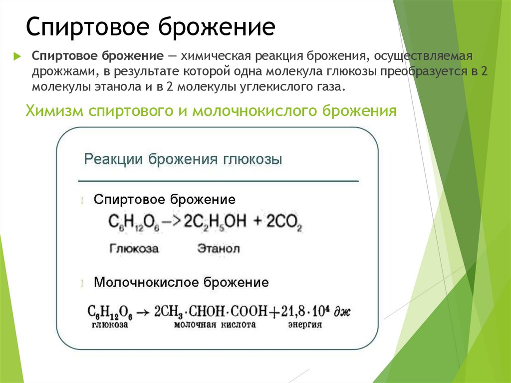 Спиртовое брожение