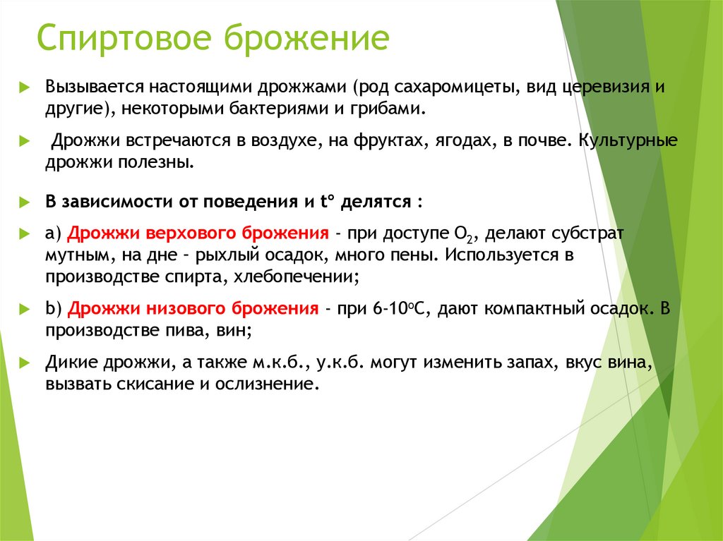 Спиртовое брожение