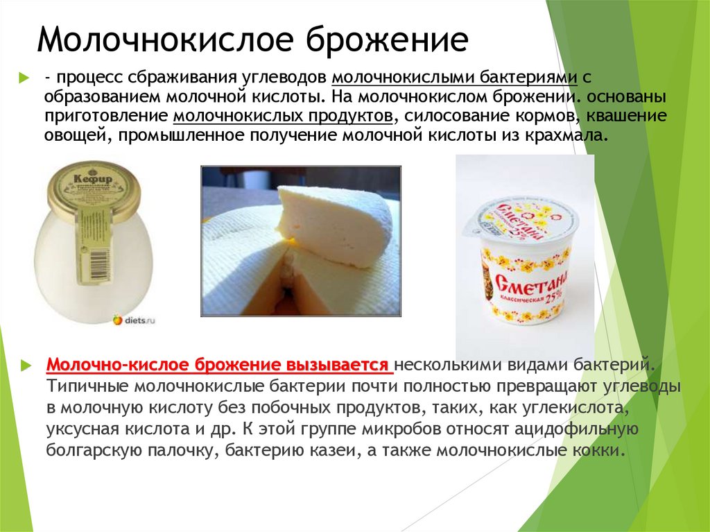 Молочнокислое брожение