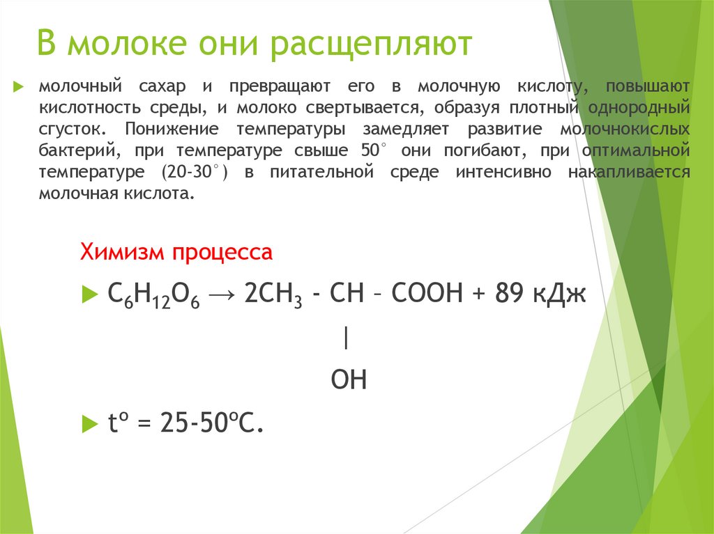 В молоке они расщепляют