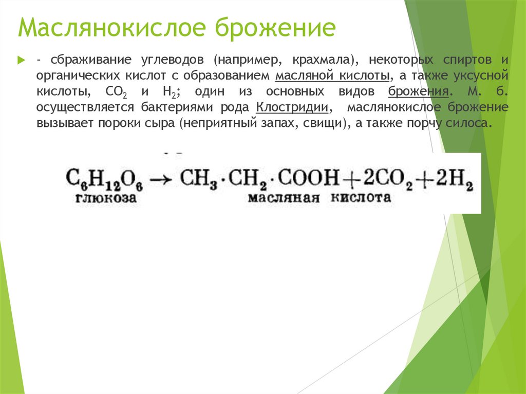 Маслянокислое брожение