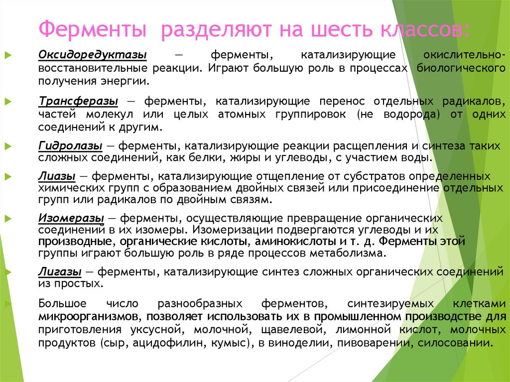 Ферменты разделяют на шесть классов: