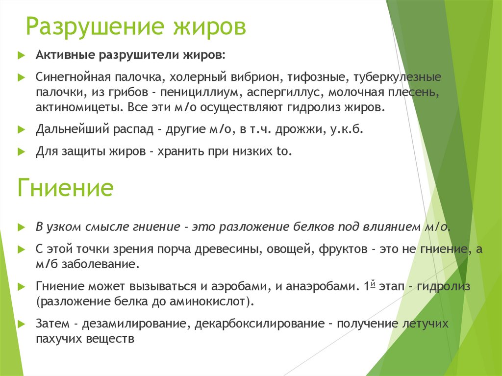 Разрушение жиров