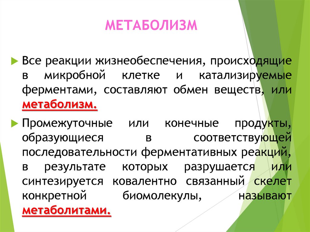 МЕТАБОЛИЗМ