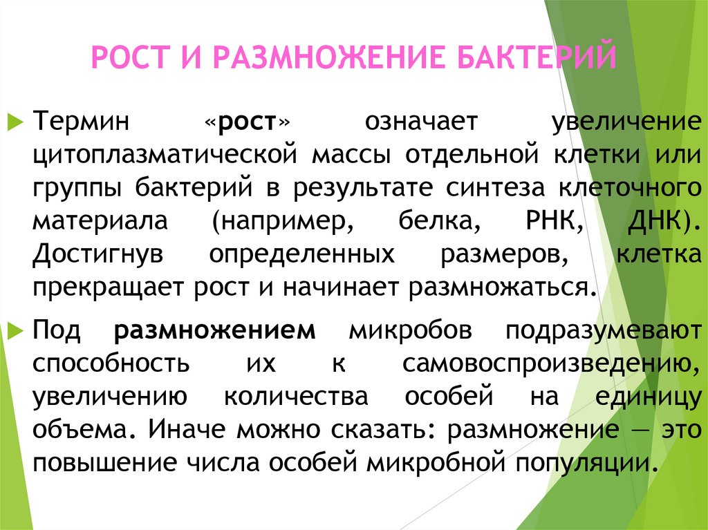 РОСТ И РАЗМНОЖЕНИЕ БАКТЕРИЙ