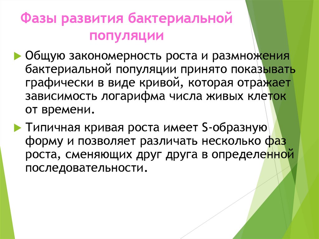 Фазы развития бактериальной популяции