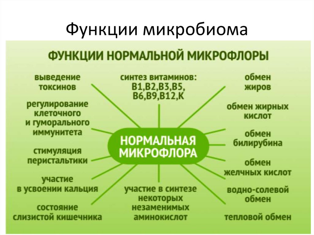 Функции микробиома
