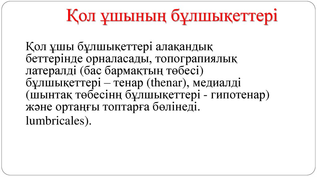 Қол ұшының бұлшықеттері