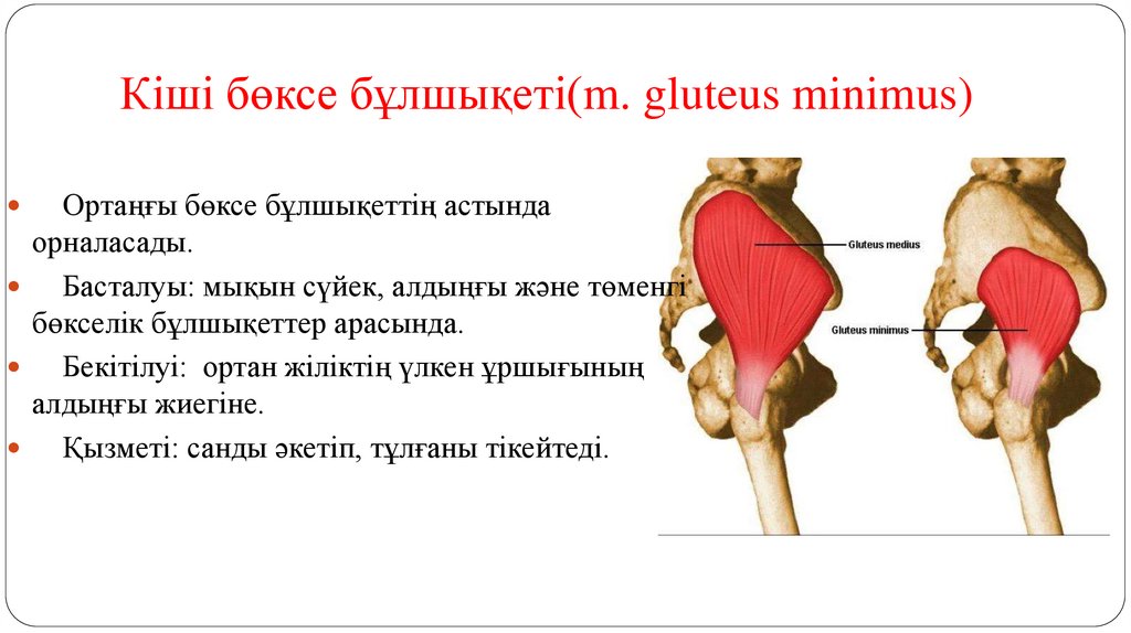 Қорқынышты транни порно