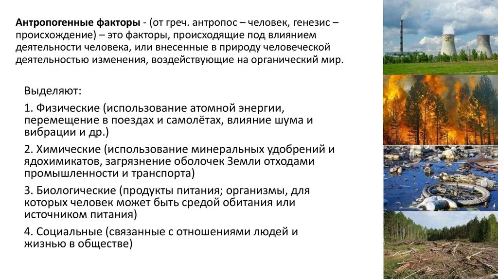 Антропогенные факторы - (от греч. антропос – человек, генезис – происхождение) – это факторы, происходящие под влиянием