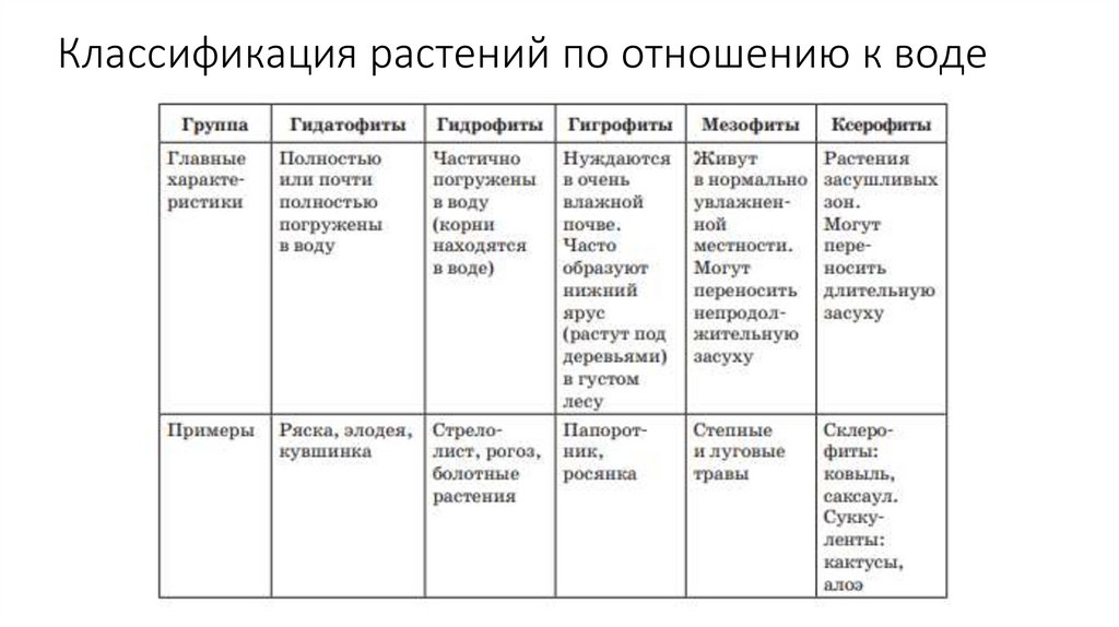 Классификация растений по отношению к воде