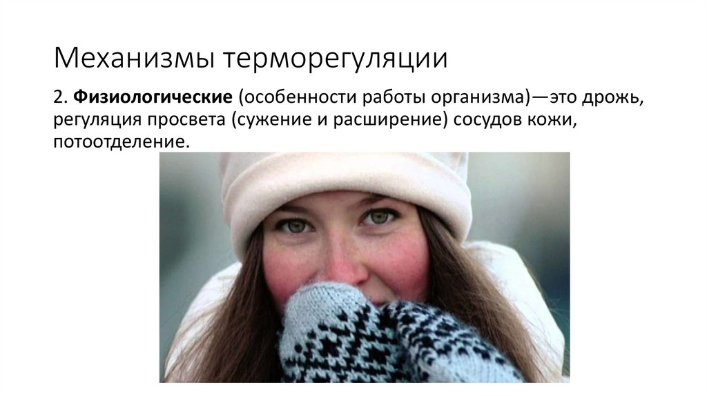 Механизмы терморегуляции