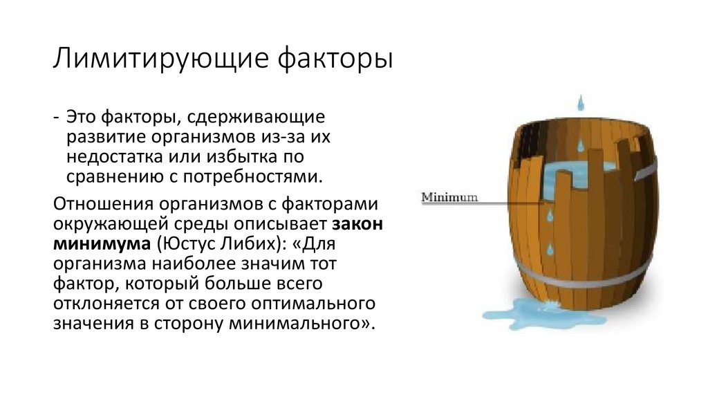 Лимитирующие факторы