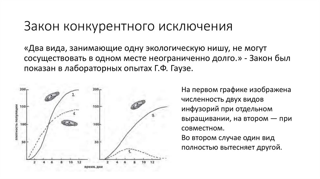 Закон конкурентного исключения