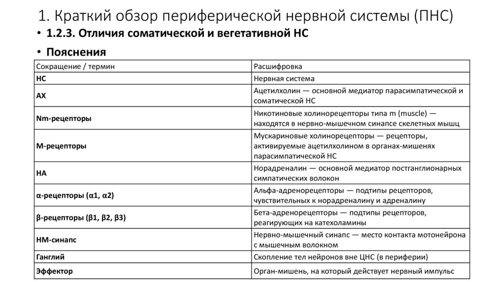 1. Краткий обзор периферической нервной системы (ПНС)