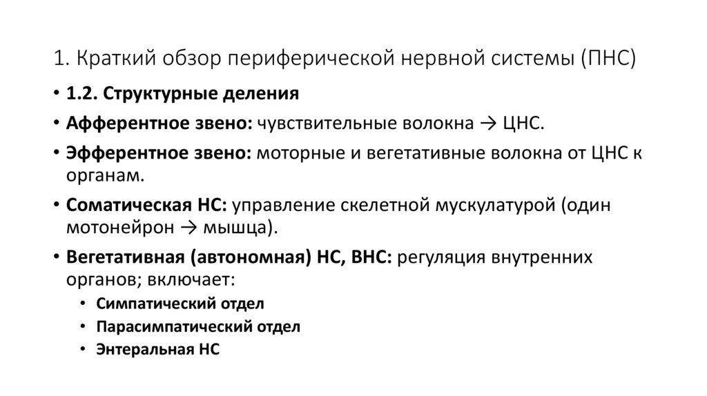 1. Краткий обзор периферической нервной системы (ПНС)