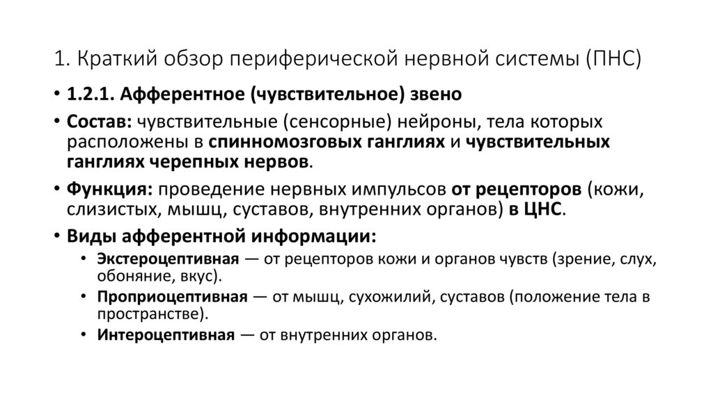1. Краткий обзор периферической нервной системы (ПНС)