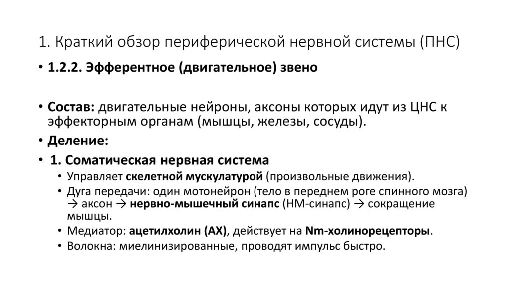 1. Краткий обзор периферической нервной системы (ПНС)