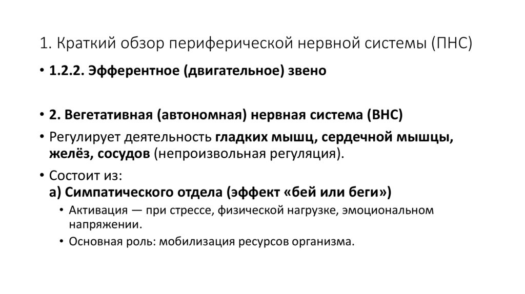 1. Краткий обзор периферической нервной системы (ПНС)