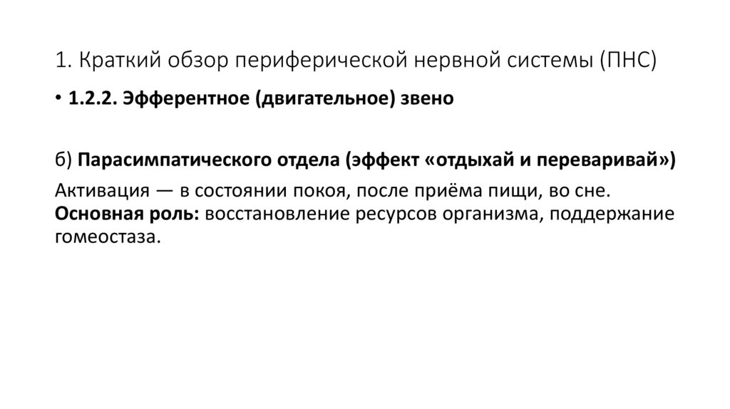 1. Краткий обзор периферической нервной системы (ПНС)