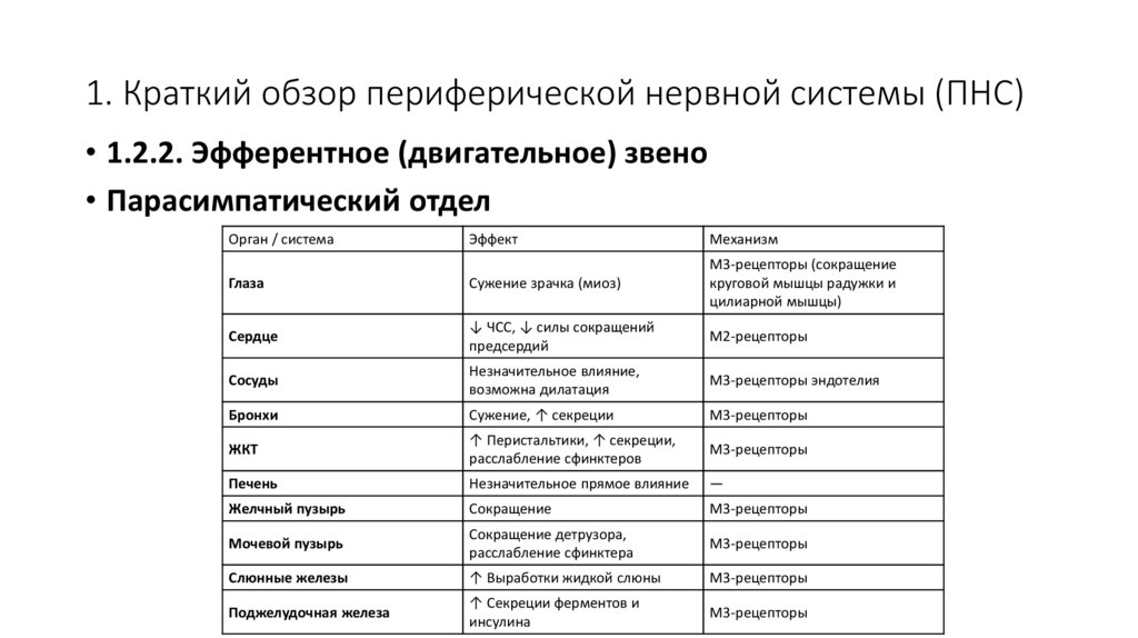 1. Краткий обзор периферической нервной системы (ПНС)