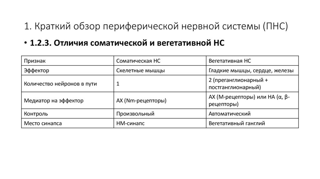 1. Краткий обзор периферической нервной системы (ПНС)