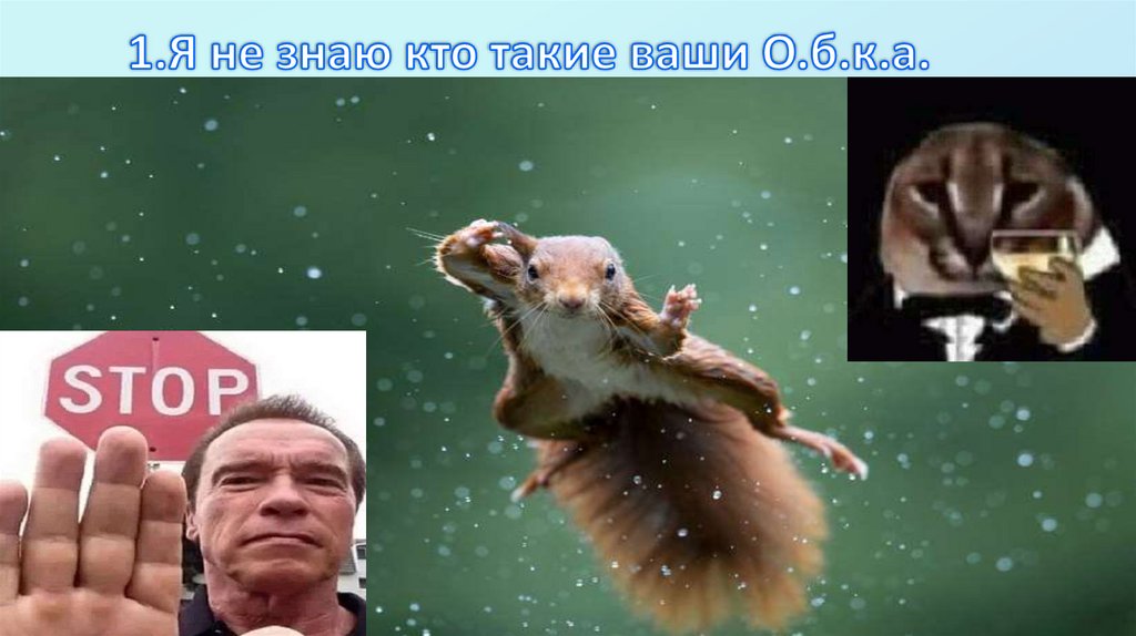 1.Я не знаю кто такие ваши О.б.к.а.