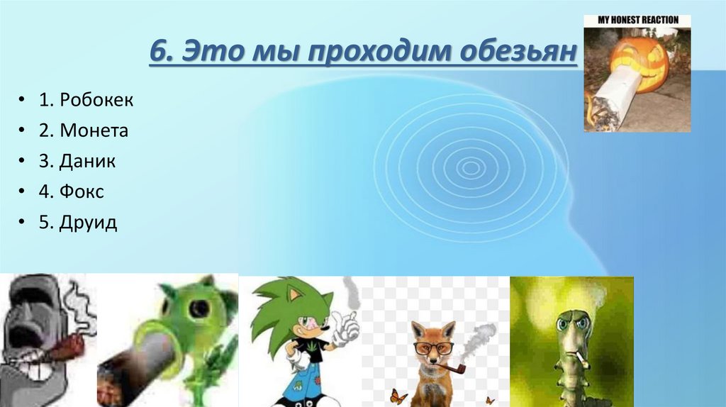 6. Это мы проходим обезьян