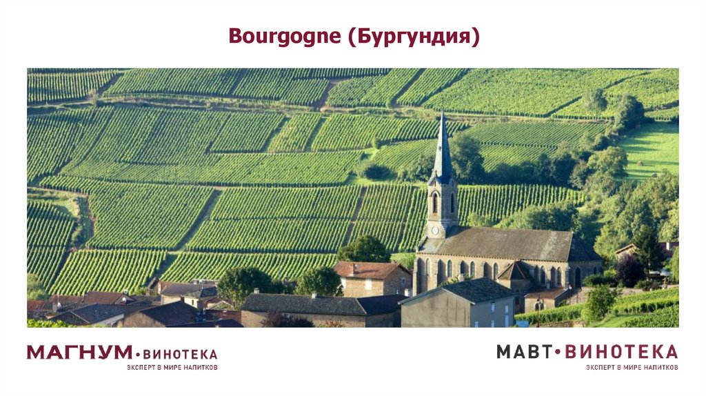 Bourgogne (Бургундия)
