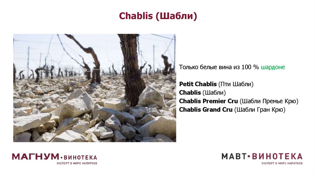 Chablis (Шабли)