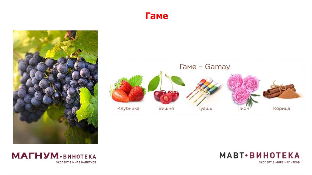 Гаме