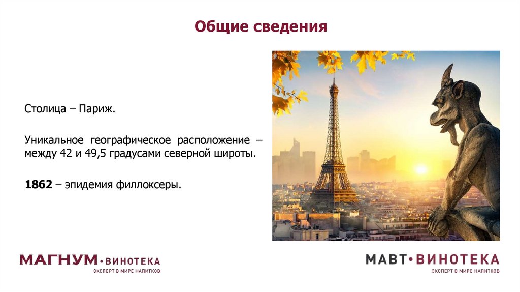 Общие сведения